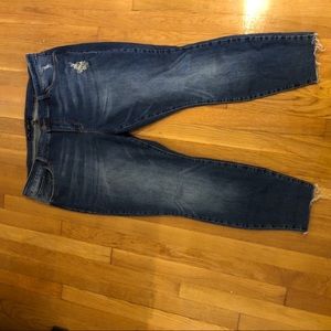STS Blue Piper Skinny Ankle Jeans